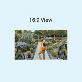 Battery Video Doorbell Plus + Chime