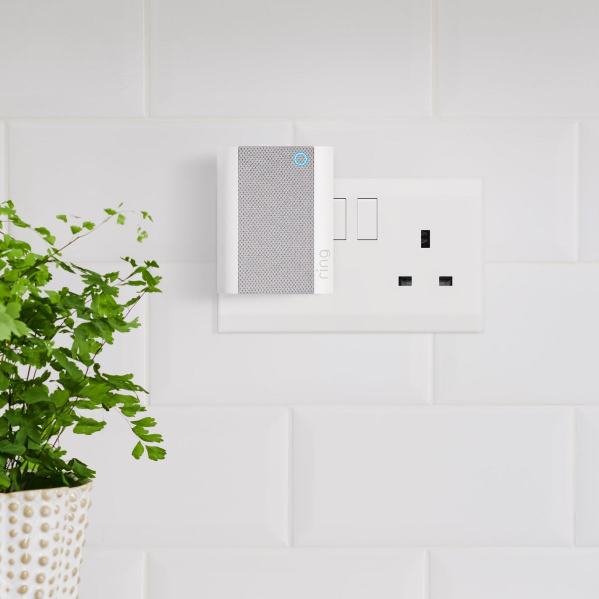 Battery Video Doorbell Plus + Chime