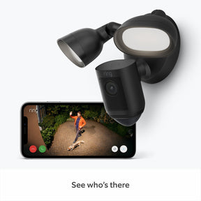 2-Pack Floodlight Cam Wired Pro